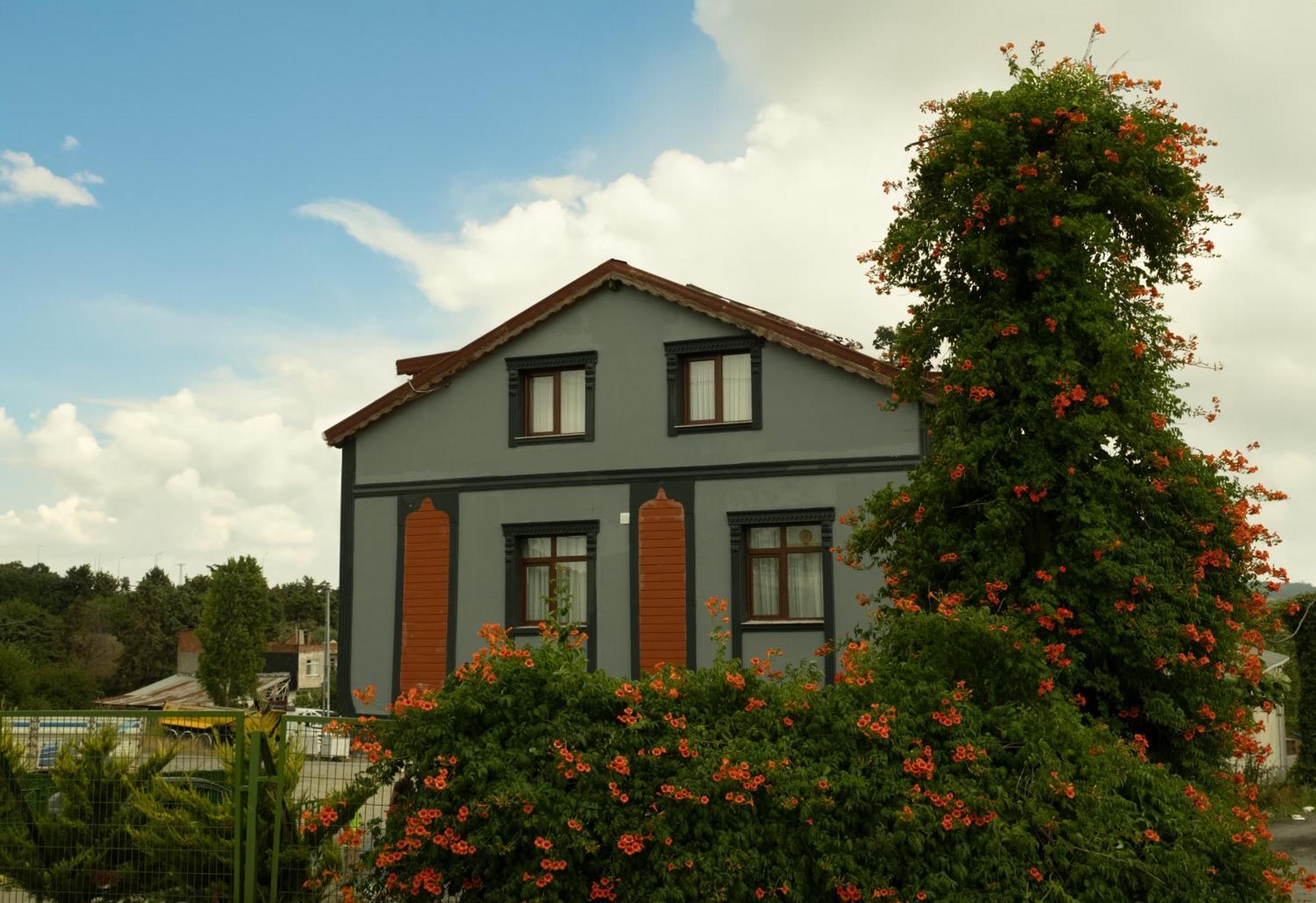 Arnavutkoy Zelle Airport Boutique Hotel מראה חיצוני תמונה